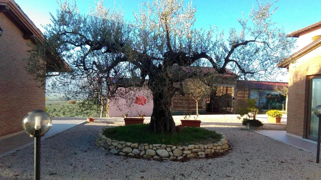 Agriturismo La Rosa Montefalco Villa Exterior photo